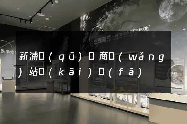 新浦區(qū)電商網(wǎng)站開(kāi)發(fā)