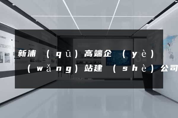 新浦區(qū)高端企業(yè)網(wǎng)站建設(shè)公司