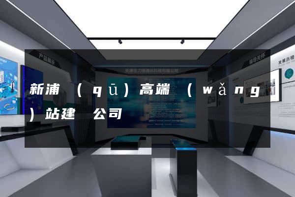 新浦區(qū)高端網(wǎng)站建設公司