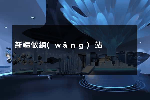新疆做網(wǎng)站