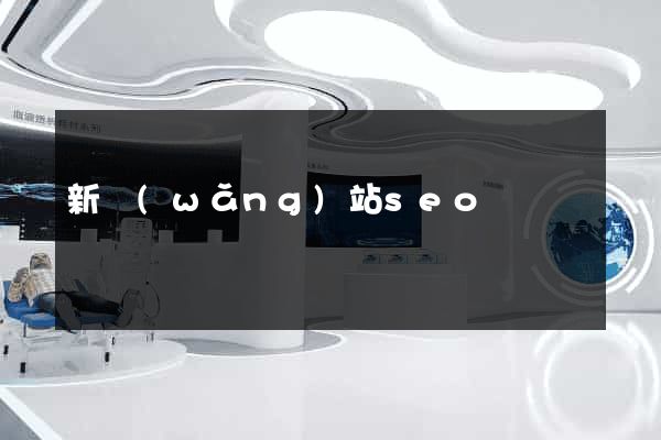新網(wǎng)站seo