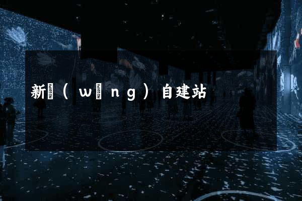 新網(wǎng)自建站