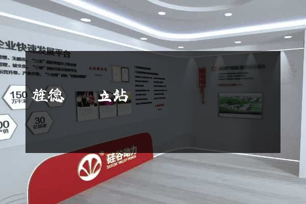 旌德縣獨立站運營