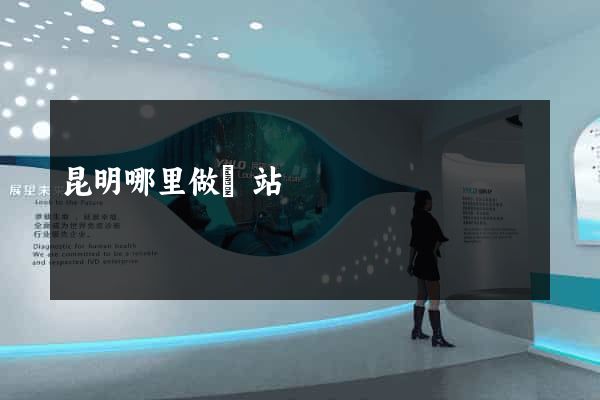 昆明哪里做網站