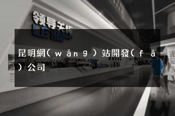 昆明網(wǎng)站開發(fā)公司