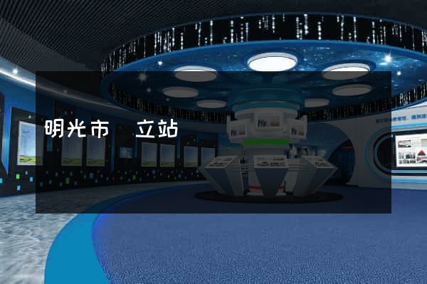 明光市獨立站運營
