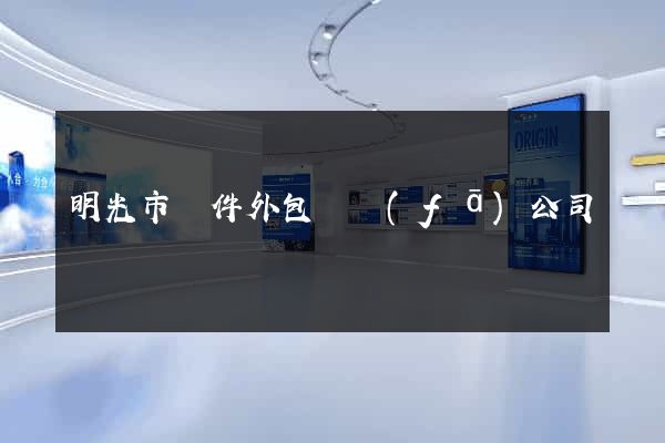 明光市軟件外包開發(fā)公司