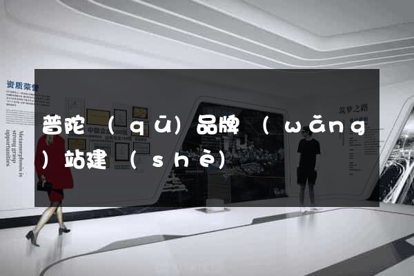 普陀區(qū)品牌網(wǎng)站建設(shè)