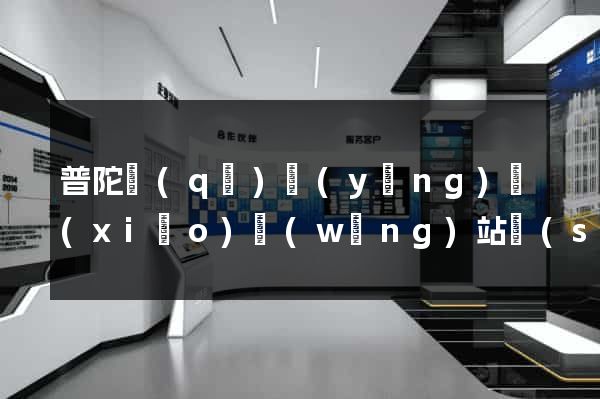 普陀區(qū)營(yíng)銷(xiāo)網(wǎng)站設(shè)計(jì)