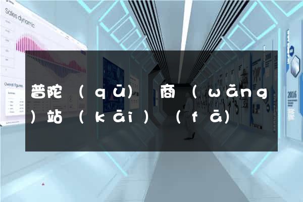 普陀區(qū)電商網(wǎng)站開(kāi)發(fā)