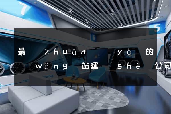 最專(zhuān)業(yè)的網(wǎng)站建設(shè)公司