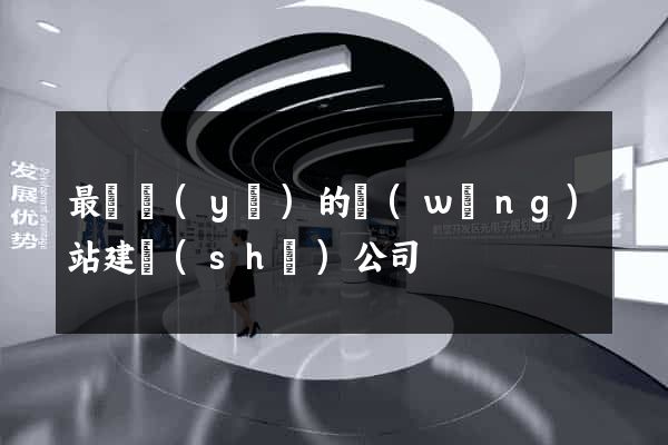 最專業(yè)的網(wǎng)站建設(shè)公司