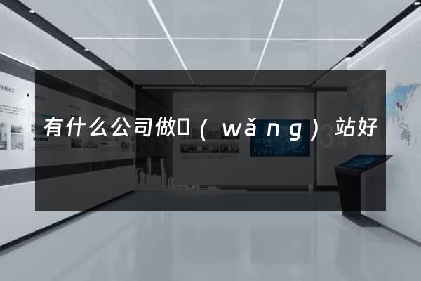 有什么公司做網(wǎng)站好