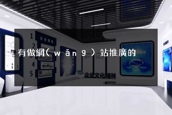 有做網(wǎng)站推廣的