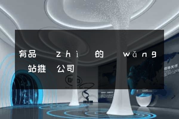 有品質(zhì)的網(wǎng)站推廣公司