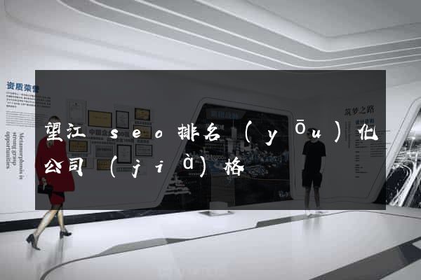 望江縣seo排名優(yōu)化公司價(jià)格