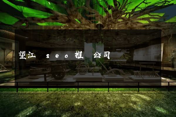 望江縣seo推廣公司