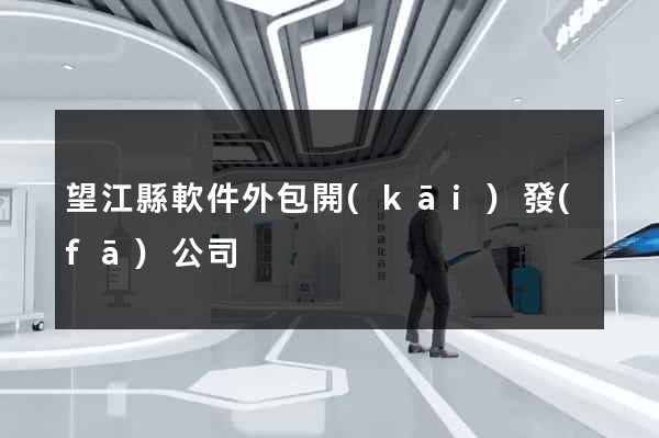 望江縣軟件外包開(kāi)發(fā)公司
