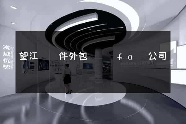 望江縣軟件外包開發(fā)公司