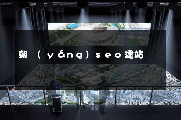 朝陽(yáng)seo建站