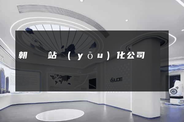 朝陽網站優(yōu)化公司