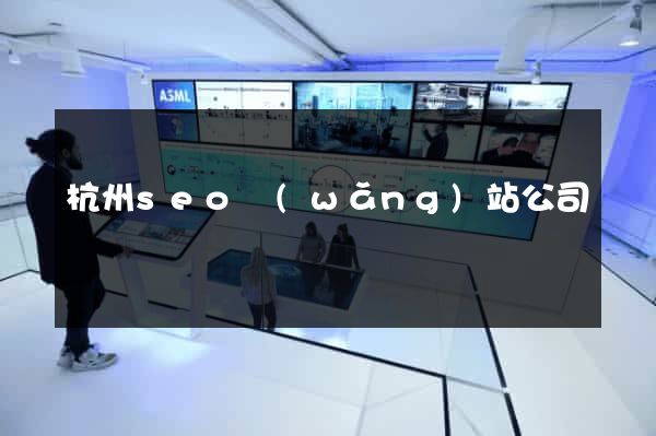 杭州seo網(wǎng)站公司