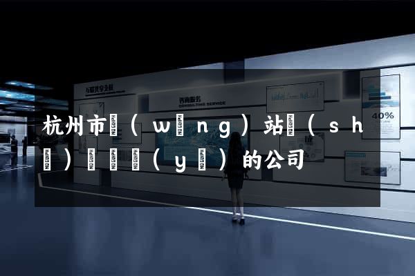 杭州市網(wǎng)站設(shè)計專業(yè)的公司