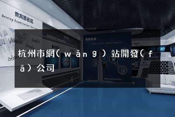 杭州市網(wǎng)站開發(fā)公司