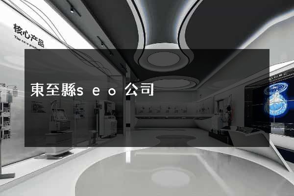 東至縣seo公司