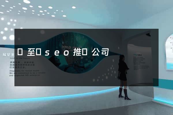 東至縣seo推廣公司