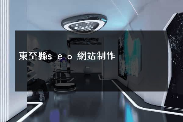 東至縣seo網站制作