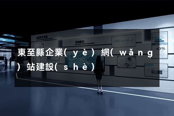 東至縣企業(yè)網(wǎng)站建設(shè)