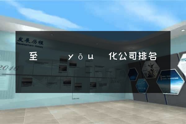 東至縣優(yōu)化公司排名