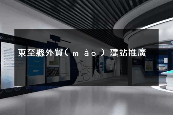 東至縣外貿(mào)建站推廣