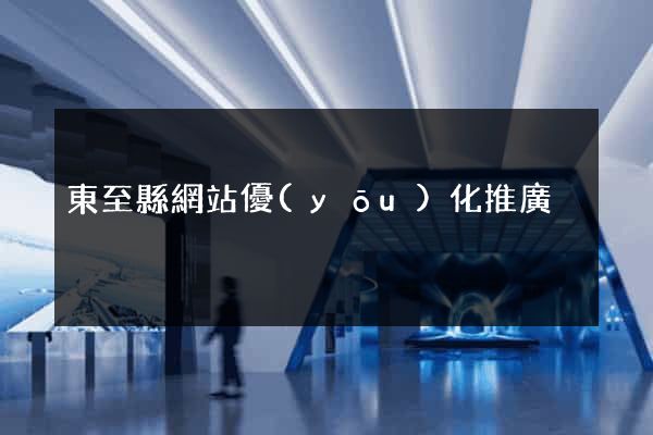 東至縣網站優(yōu)化推廣