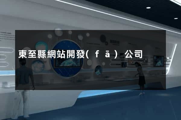 東至縣網站開發(fā)公司