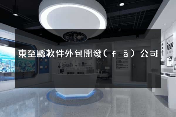 東至縣軟件外包開發(fā)公司
