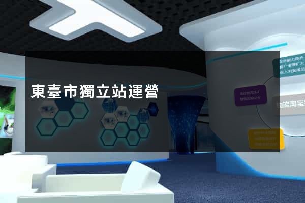 東臺市獨立站運營
