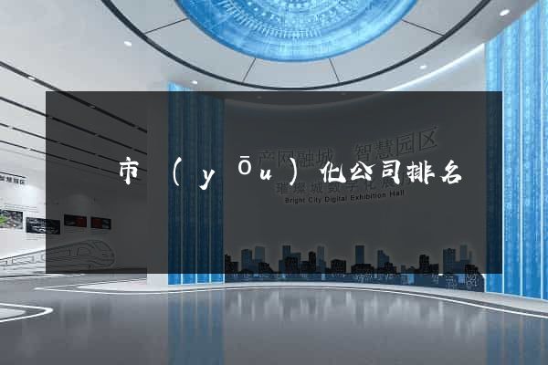 東陽市優(yōu)化公司排名