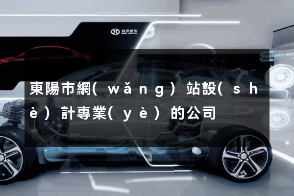 東陽市網(wǎng)站設(shè)計專業(yè)的公司