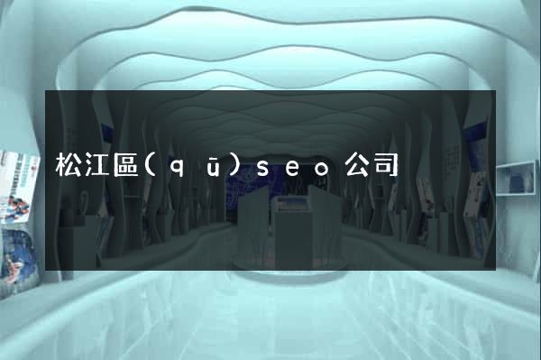 松江區(qū)seo公司