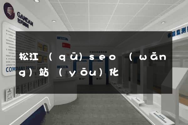 松江區(qū)seo網(wǎng)站優(yōu)化