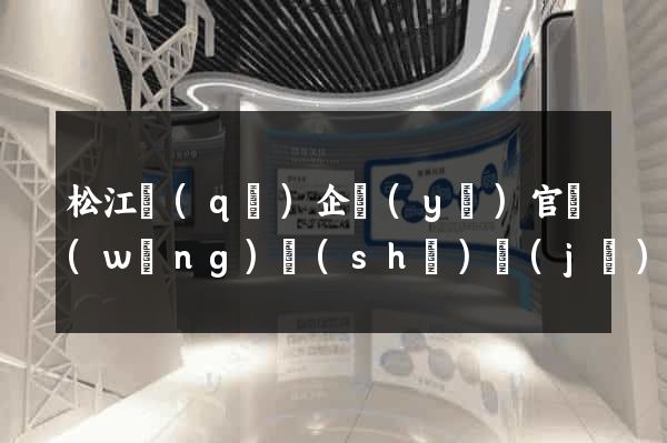 松江區(qū)企業(yè)官網(wǎng)設(shè)計(jì)