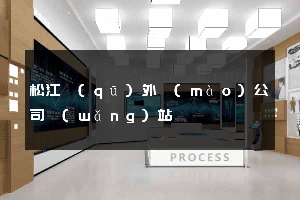 松江區(qū)外貿(mào)公司網(wǎng)站