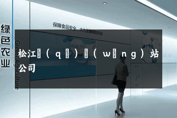 松江區(qū)網(wǎng)站公司