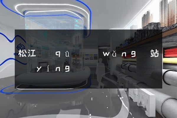 松江區(qū)網(wǎng)站營(yíng)銷
