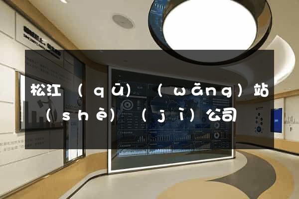 松江區(qū)網(wǎng)站設(shè)計(jì)公司