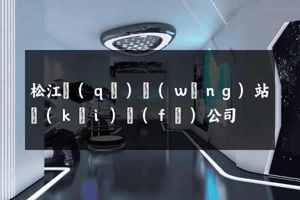 松江區(qū)網(wǎng)站開(kāi)發(fā)公司