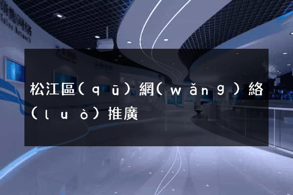 松江區(qū)網(wǎng)絡(luò)推廣
