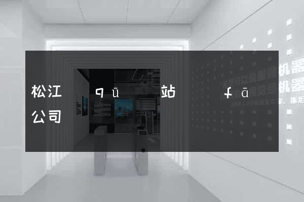 松江區(qū)網站開發(fā)公司